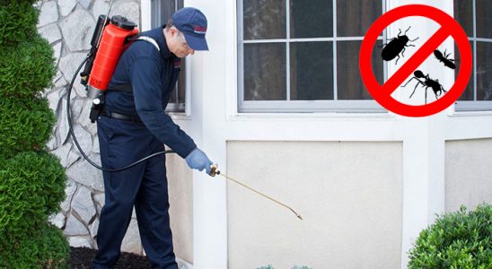 Tosya Gümüşkurt İlaçlama böcek ilaçlama ve haşere kontrolü — ilaclama-tr.com